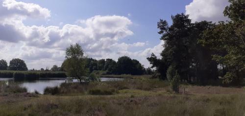 Drentse Bungalow In Natuur En Rust