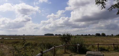Drentse Bungalow In Natuur En Rust