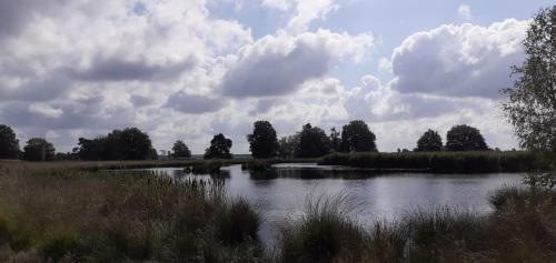 Drentse Bungalow In Natuur En Rust
