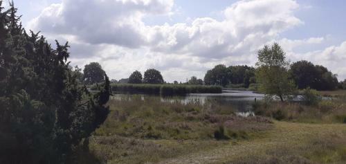 Drentse Bungalow In Natuur En Rust