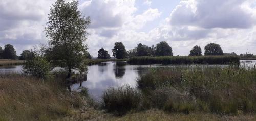 Drentse Bungalow In Natuur En Rust