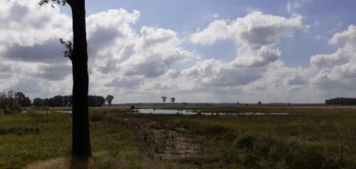Drentse Bungalow In Natuur En Rust