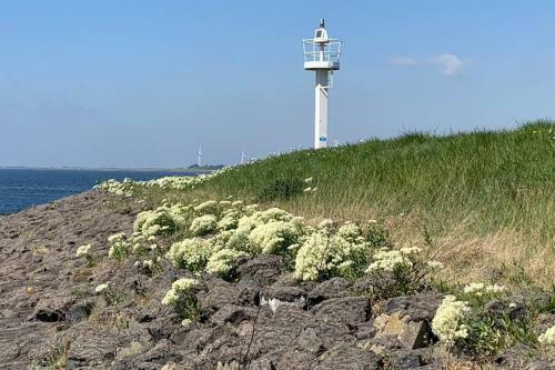 Logeren Op De Thoolse Parel Boerderij