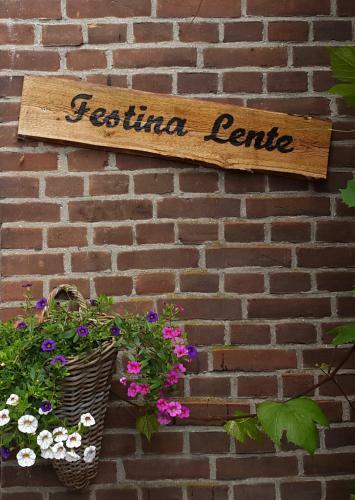 Apartamento Festina Lente