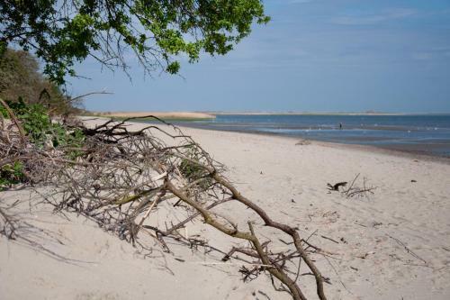 Apartamento Dock Hotel Stellendam
