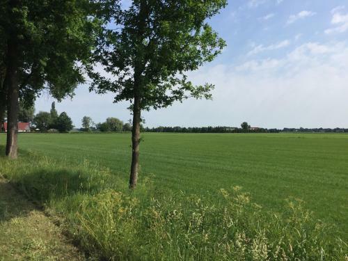 Zonnehuus