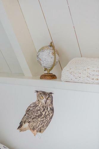 Bed & Breakfast De Friese Wouden