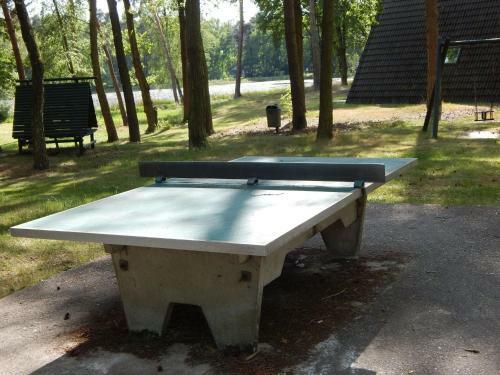 Modern Holiday Home In North Limburg Near Forest