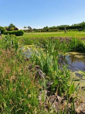 Camping De Oude Rijn