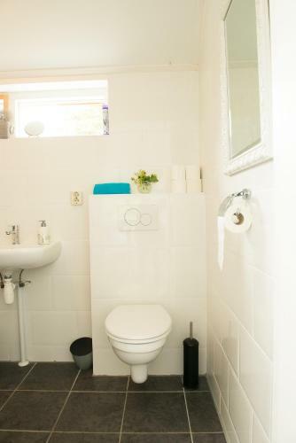 Bed & Breakfast Studio Stee Van Ypey