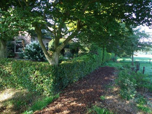 Farmhouse De Hoeve B&B Apartment
