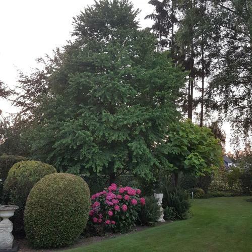 B&B Mooie Tuin In Twello