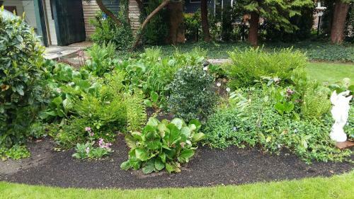 B&B Mooie Tuin In Twello