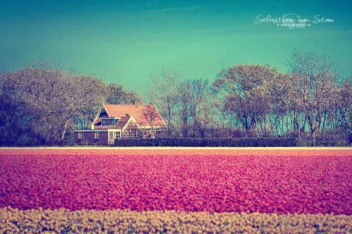 Bungalow Callantsoog
