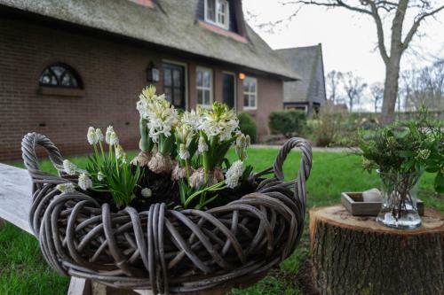 Bed & Breakfast 't Rheebokje