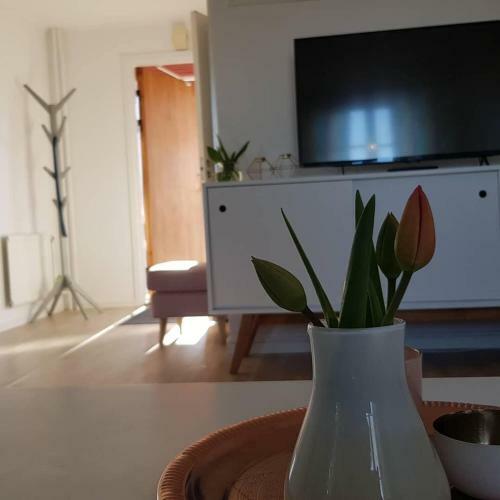 Hostal S�rg�rden