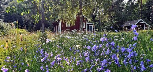 Lidsbergs Torp I �lme