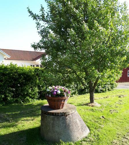 Agroturismo Stenaberg