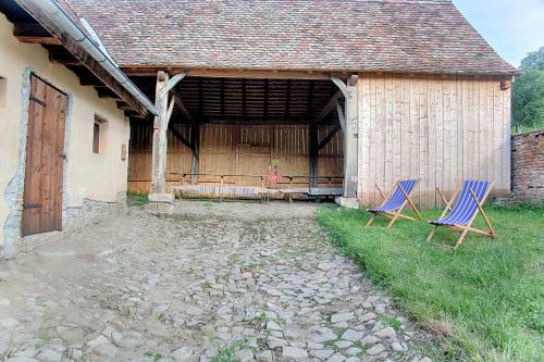 Experience Transylvania M?l�ncrav 335