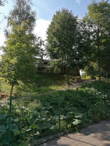 La Foisor