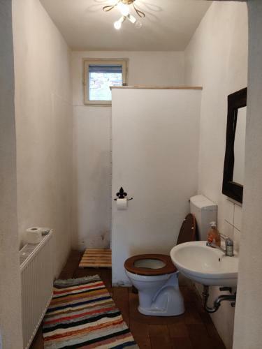 Apartamento Experience Transylvania M?l�ncrav 102b