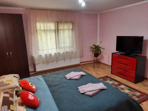 Casa Alex