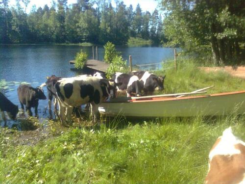 Sj�torp S�teri & Stugby