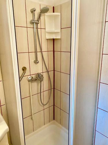 Apartament Toate Panzele Sus