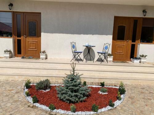 Casa Maya Mangalia Apartament First Floor
