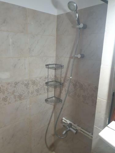 Apartamento Rozelor