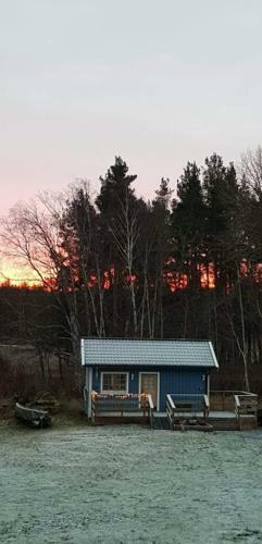 Lussebo 9