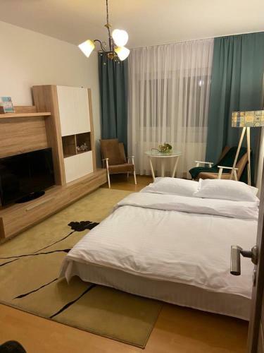 Cazare Medias, Apartament Modern