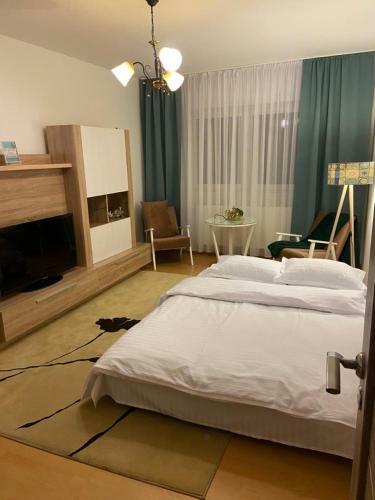 Cazare Medias, Apartament Modern