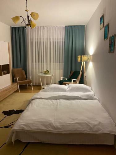 Cazare Medias, Apartament Modern