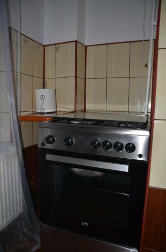 Cazare Medias, Apartament Modern