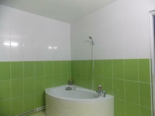 Agroturismo Casa Cu Flori