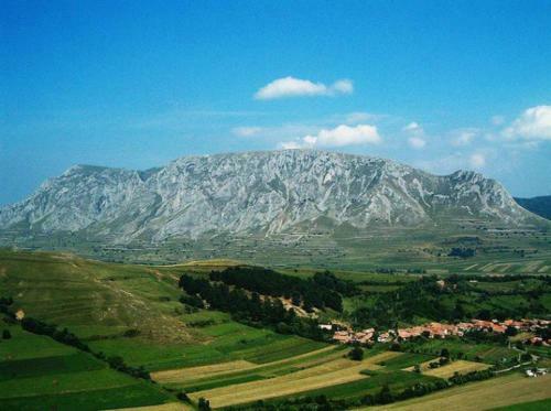 Agroturismo Casa Cu Flori