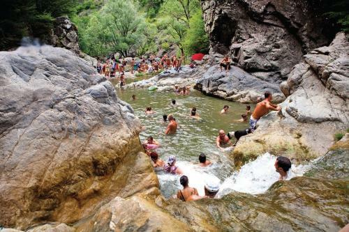 Agroturismo Casa Cu Flori