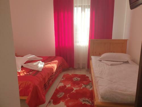Hostal Pensiunea Ronicson