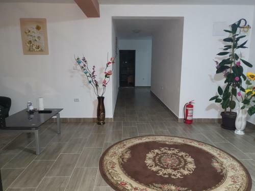Hostal Pensiunea Ronicson
