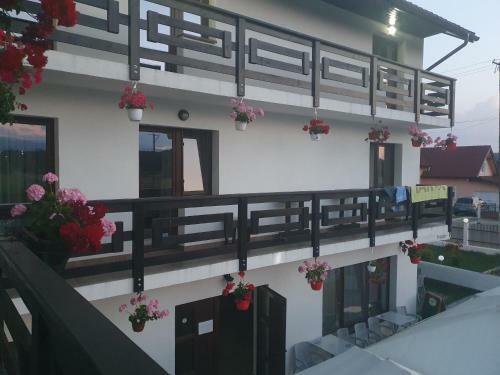 Hostal Pensiunea Ronicson