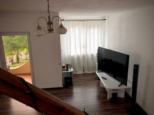 Casa Paunescu