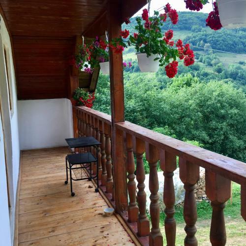 Cabana Baraj Apuseni Mountains
