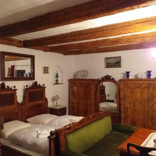 Hostal Pensiunea Monica-amadeus