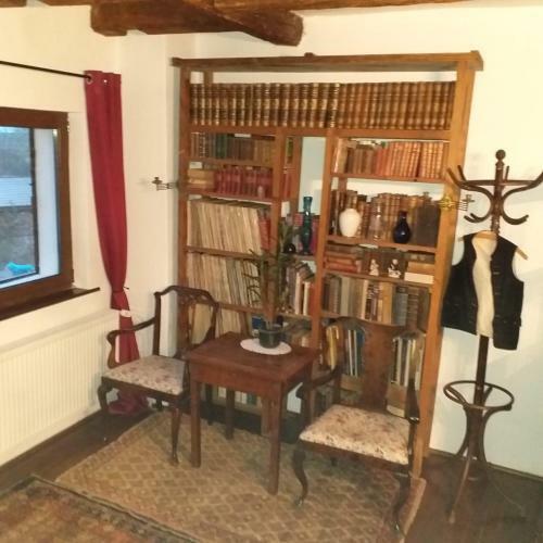 Hostal Pensiunea Monica-amadeus