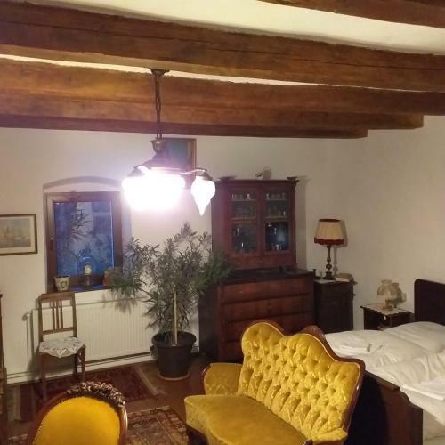 Hostal Pensiunea Monica-amadeus