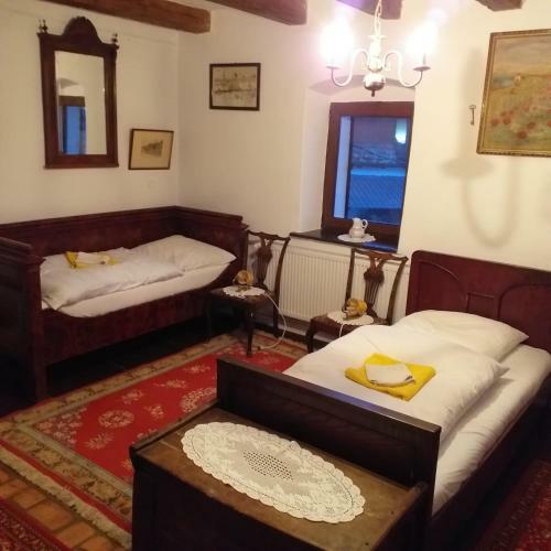 Hostal Pensiunea Monica-amadeus