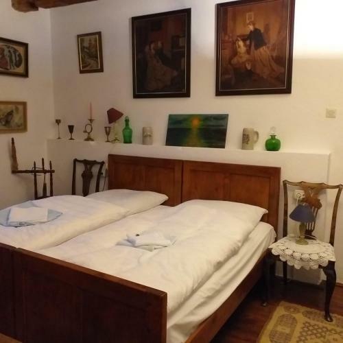 Hostal Pensiunea Monica-amadeus