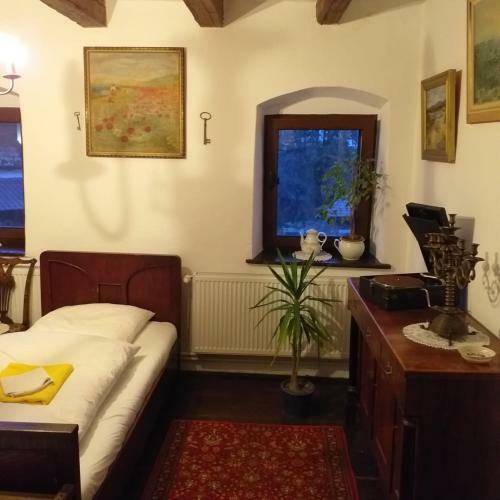 Hostal Pensiunea Monica-amadeus
