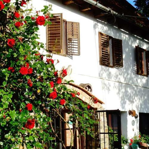 Hostal Pensiunea Monica-amadeus